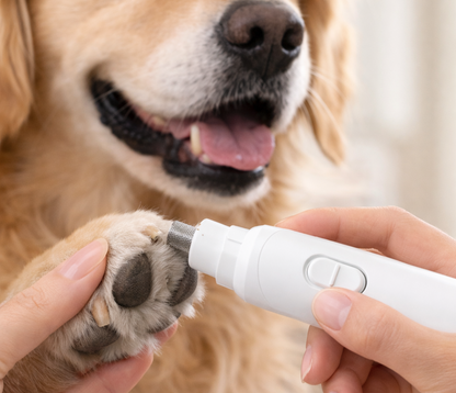 ClawBuddy Krallenschleifer