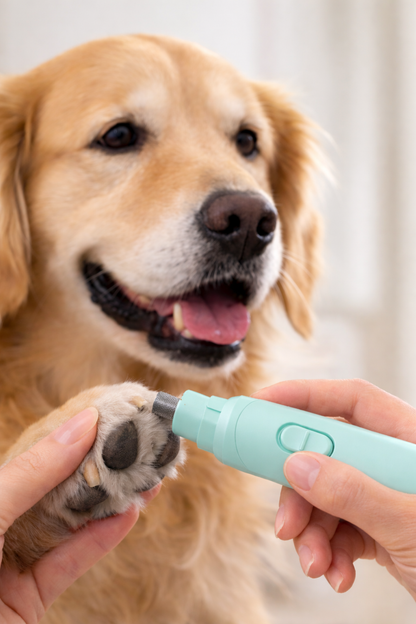 ClawBuddy Krallenschleifer